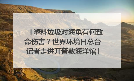 塑料垃圾对海龟有何致命伤害？世界环境日总台记者走进开普敦海洋馆