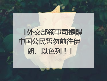 外交部领事司提醒中国公民暂勿前往伊朗、以色列！