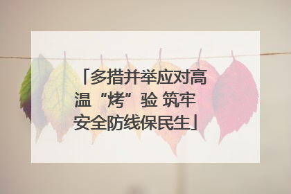 多措并举应对高温“烤”验 筑牢安全防线保民生