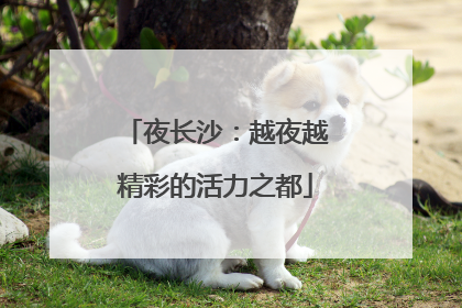 夜长沙：越夜越精彩的活力之都