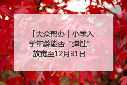 大众帮办｜小学入学年龄能否“弹性”放宽至12月31日？有地方已在探索