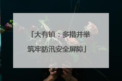大有镇：多措并举筑牢防汛安全屏障