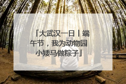 大武汉一日丨端午节，我为动物园小矮马做粽子