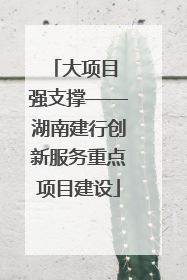 大项目 强支撑——湖南建行创新服务重点项目建设