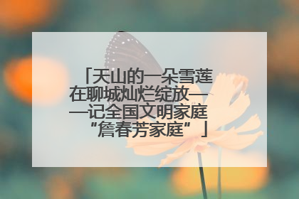 天山的一朵雪莲在聊城灿烂绽放——记全国文明家庭“詹春芳家庭”