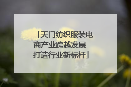 天门纺织服装电商产业跨越发展 打造行业新标杆