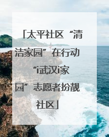 太平社区“清洁家园”在行动 “i武汉i家园”志愿者扮靓社区
