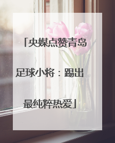 央媒点赞青岛足球小将：踢出最纯粹热爱