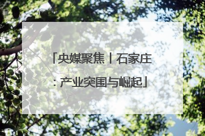 央媒聚焦丨石家庄：产业突围与崛起