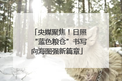央媒聚焦！日照“蓝色粮仓”书写向海图强新篇章