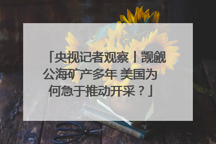 央视记者观察丨觊觎公海矿产多年 美国为何急于推动开采？