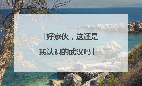 好家伙，这还是我认识的武汉吗