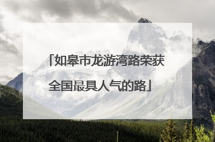 如皋市龙游湾路荣获全国最具人气的路