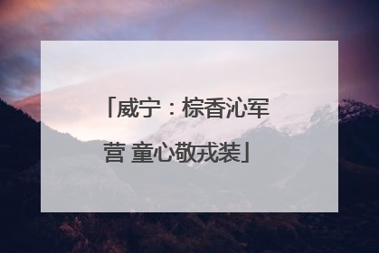 威宁：棕香沁军营 童心敬戎装