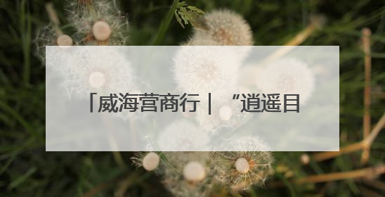 威海营商行｜“逍遥目的地 青春经开区”文旅品牌推介走进韩国
