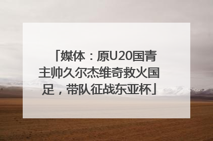 媒体：原U20国青主帅久尔杰维奇救火国足，带队征战东亚杯