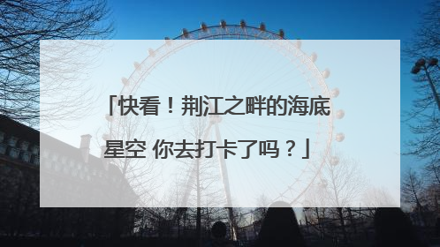 快看！荆江之畔的海底星空 你去打卡了吗？