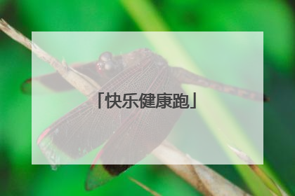 快乐健康跑