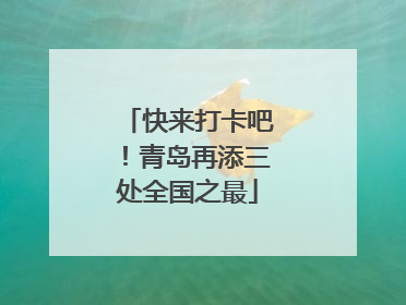 快来打卡吧！青岛再添三处全国之最