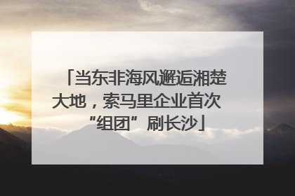 当东非海风邂逅湘楚大地，索马里企业首次“组团”刷长沙