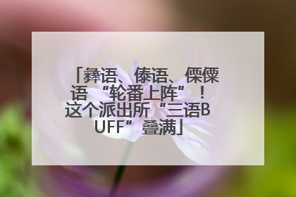 彝语、傣语、傈僳语 “轮番上阵”！这个派出所“三语BUFF”叠满