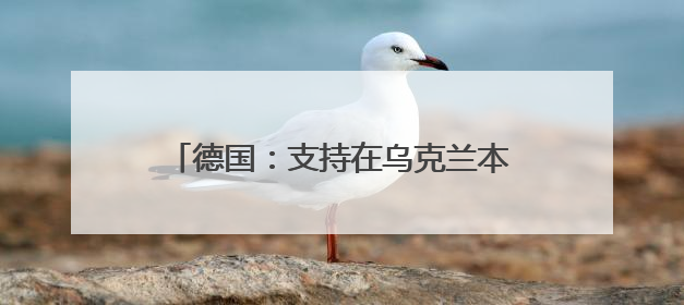 德国：支持在乌克兰本土生产远程导弹，将提供50亿欧元军事援助