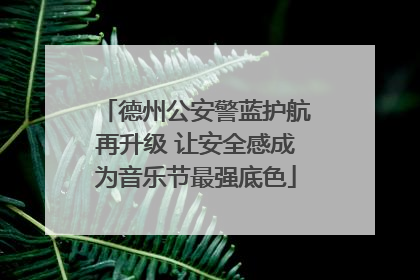 德州公安警蓝护航再升级 让安全感成为音乐节最强底色