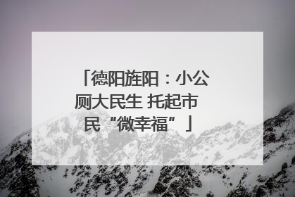 德阳旌阳：小公厕大民生 托起市民“微幸福”