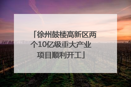 徐州鼓楼高新区两个10亿级重大产业项目顺利开工