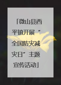 微山县西平镇开展“全国防灾减灾日”主题宣传活动