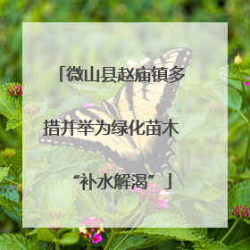 微山县赵庙镇多措并举为绿化苗木“补水解渴”
