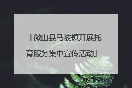 微山县马坡镇开展托育服务集中宣传活动