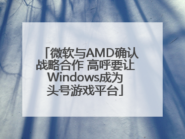 微软与AMD确认战略合作 高呼要让Windows成为头号游戏平台
