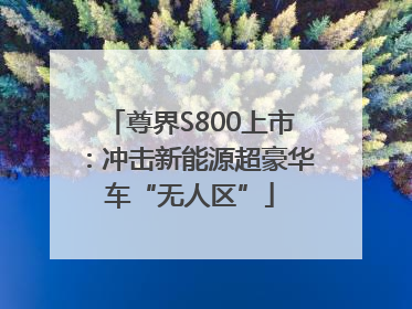 尊界S800上市：冲击新能源超豪华车“无人区”