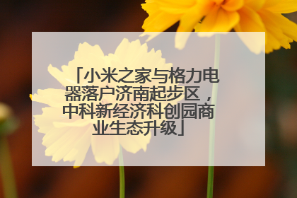 小米之家与格力电器落户济南起步区，中科新经济科创园商业生态升级
