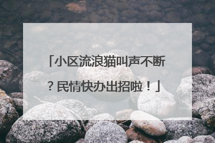 小区流浪猫叫声不断？民情快办出招啦！