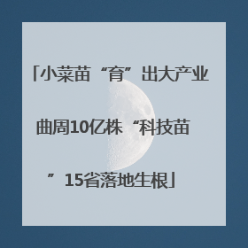 小菜苗“育”出大产业 曲周10亿株“科技苗”15省落地生根