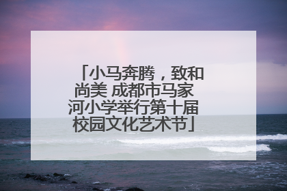 小马奔腾，致和尚美 成都市马家河小学举行第十届校园文化艺术节