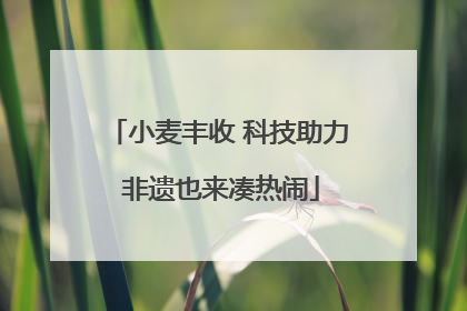 小麦丰收 科技助力 非遗也来凑热闹