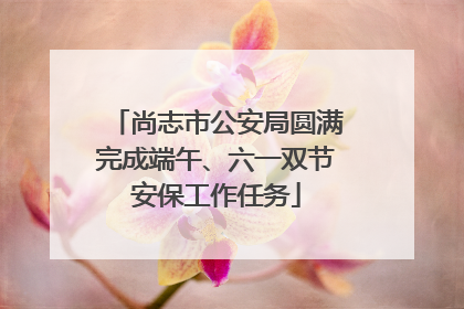 尚志市公安局圆满完成端午、六一双节安保工作任务