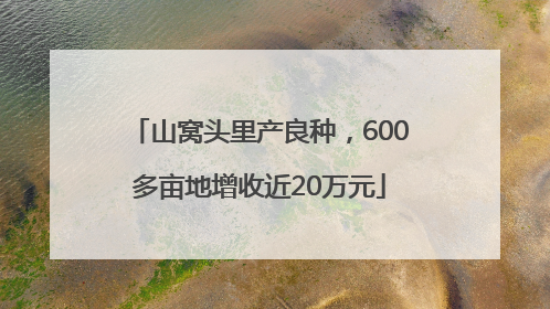 山窝头里产良种，600多亩地增收近20万元