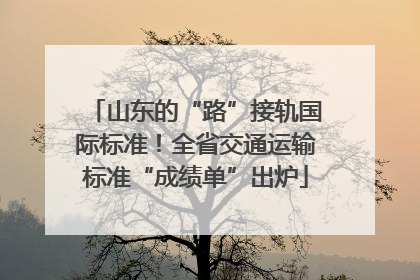 山东的“路”接轨国际标准！全省交通运输标准“成绩单”出炉