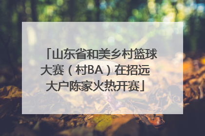 山东省和美乡村篮球大赛（村BA）在招远大户陈家火热开赛