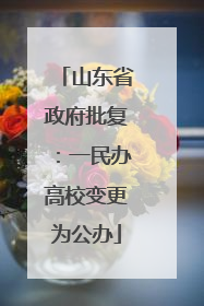山东省政府批复：一民办高校变更为公办