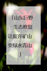 山东巨野：生态修复让废弃矿山变绿水青山