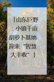山东巨野：小镇千亩胡萝卜基地迎来“智慧大丰收”