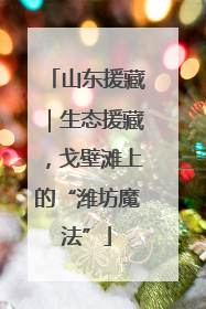 山东援藏｜生态援藏，戈壁滩上的“潍坊魔法”