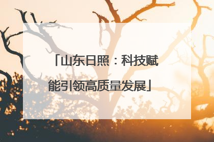 山东日照：科技赋能引领高质量发展