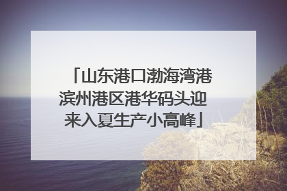 山东港口渤海湾港滨州港区港华码头迎来入夏生产小高峰