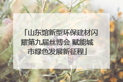 山东馆新型环保建材闪耀第九届丝博会 赋能城市绿色发展新征程